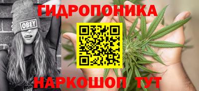 Альфа ПВП Новозыбков