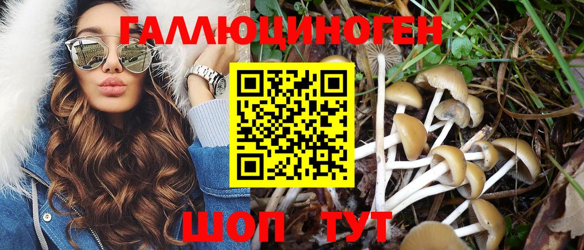 Псилоцибиновые грибы Cubensis  Псилоцибиновые грибы Psilocybine cubensis  Вход с VPN  Будённовск 