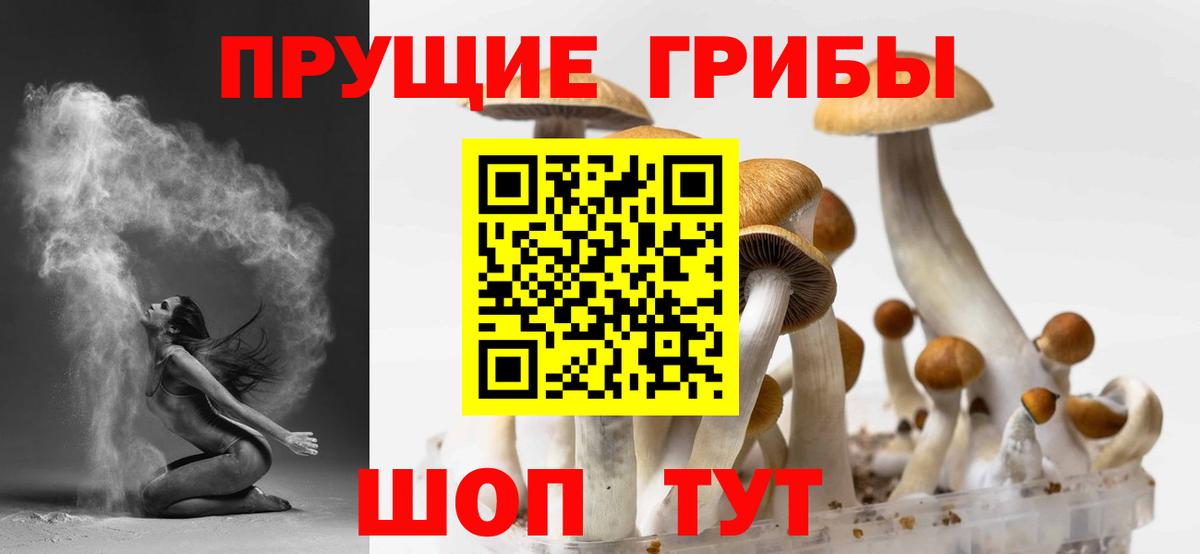 Галлюциногенные грибы Magic Shrooms Будённовск