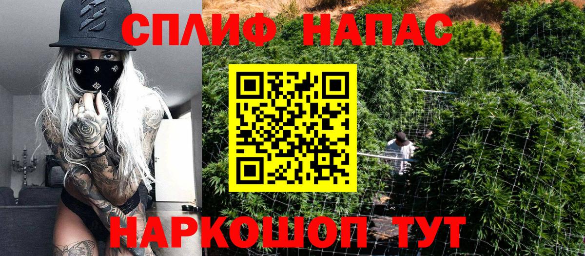 Конопля ГИДРОПОН  МАРИХУАНА план  Вход с VPN  Конопля ГИДРОПОН  Бошки марихуана OG Kush  Будённовск 